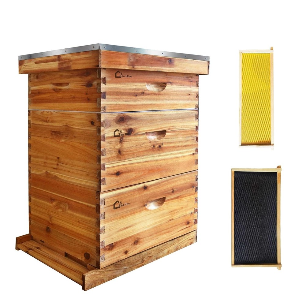 Langstroth Hive Beehive Kit, 30 Frame Box, 20 Deep, 10 Medium Frames Wax-Coated