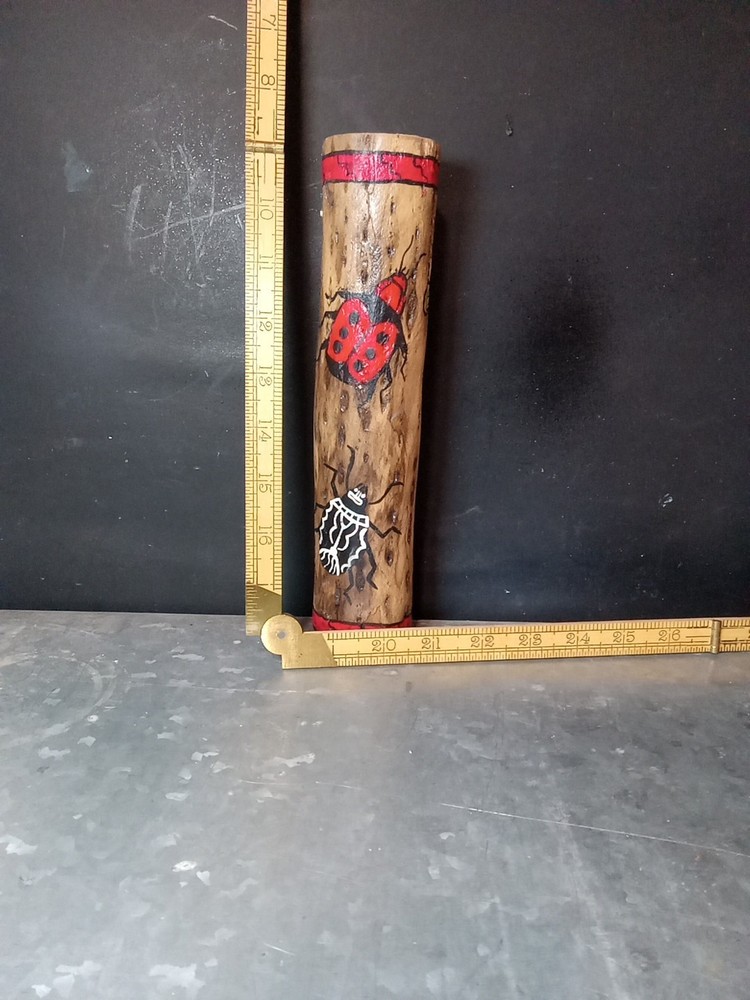 Rainstick From Chili 10 Inches