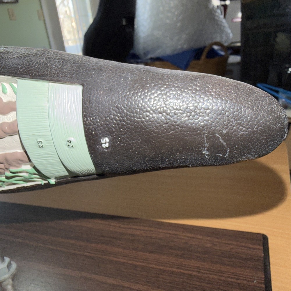 Anatomical Model Planarian Flatworm Bobbitt Laboratories