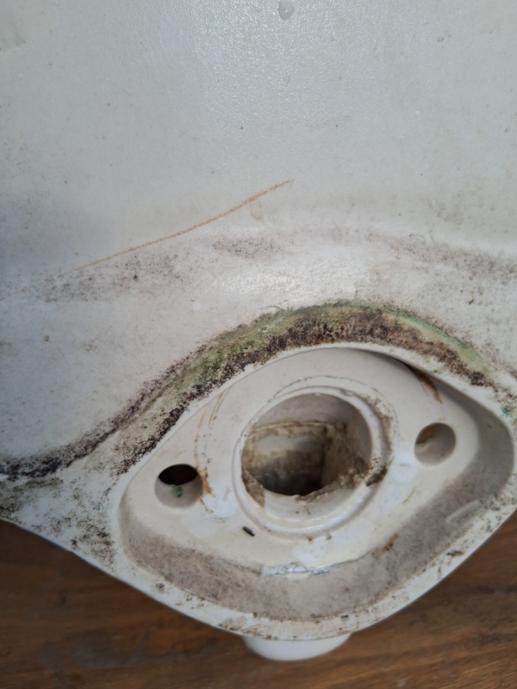 Vintage Standard Porcelain Wall Mount Urinal