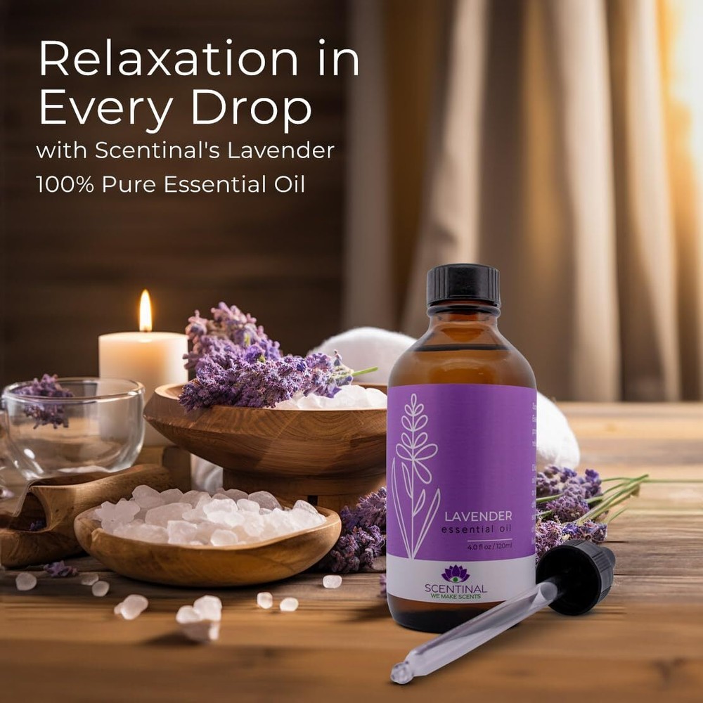 Scentinal Lavender Essential Oil - 100% Pure, Natural & Authentic - Extra Large