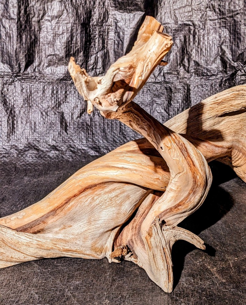 Twisted juniper Branch Aquarium Piece