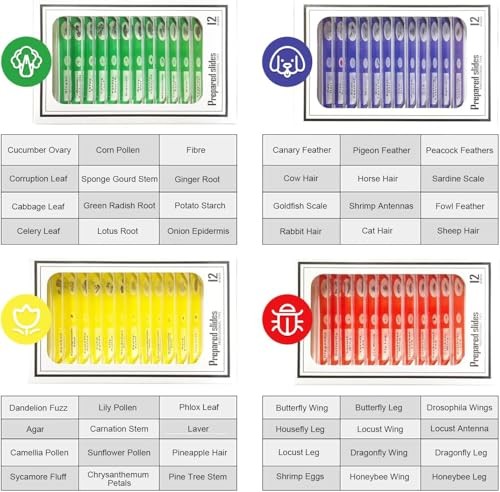 Prepared Microscope Slides Set
