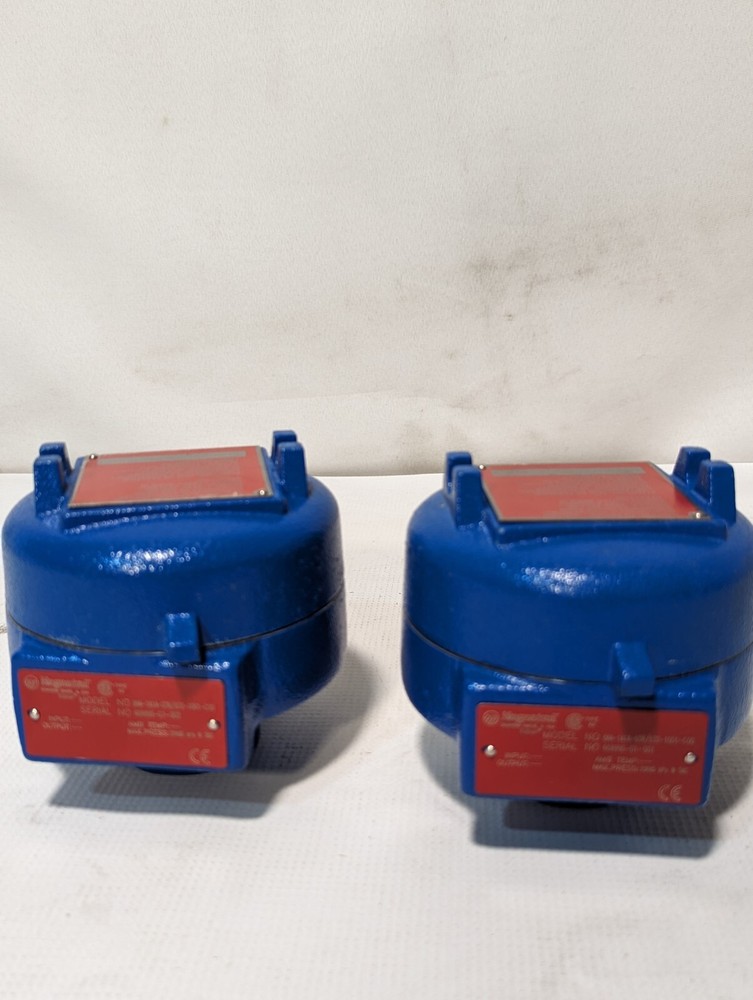 Magnetrol Model: 8AA-1A1A-036/832-1001-C00