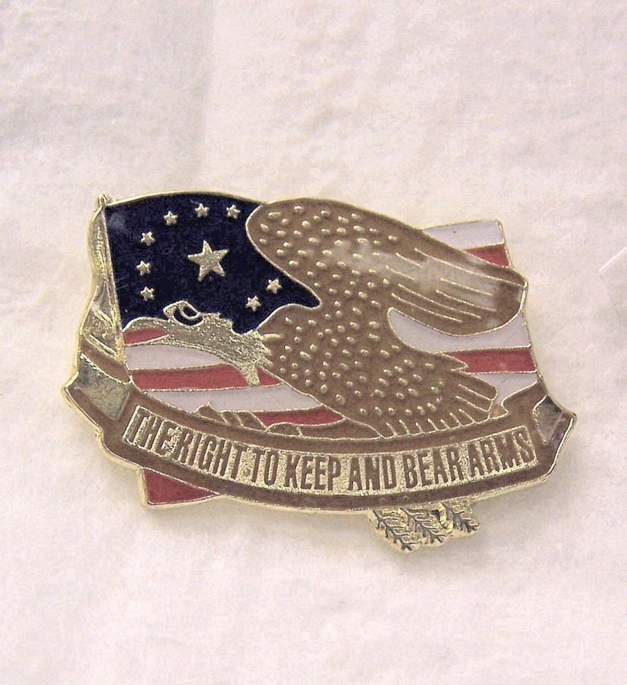 The Right To Keep And Bear Arms Pin
