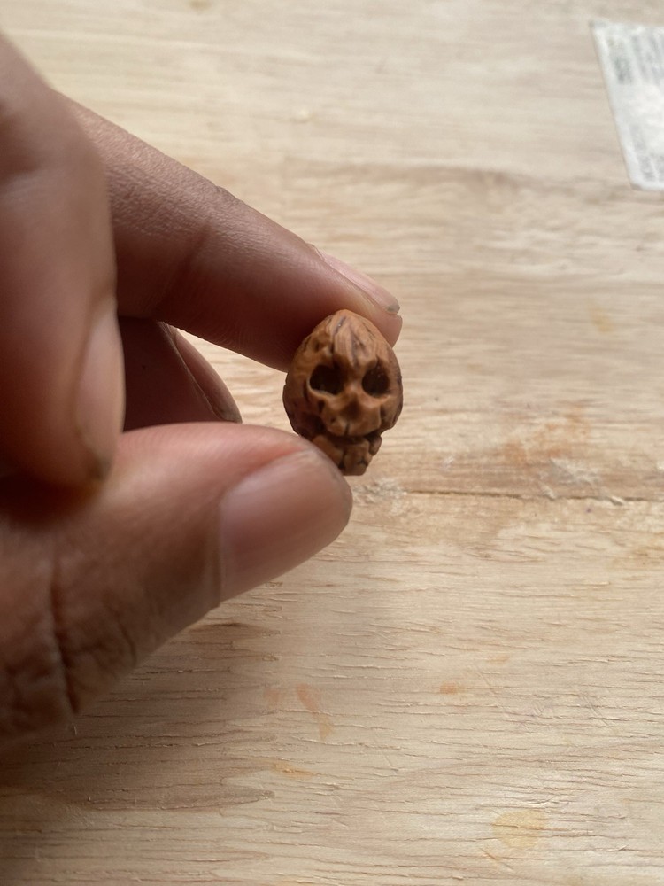 Miniature Skull 11 Carved From Peach Pit