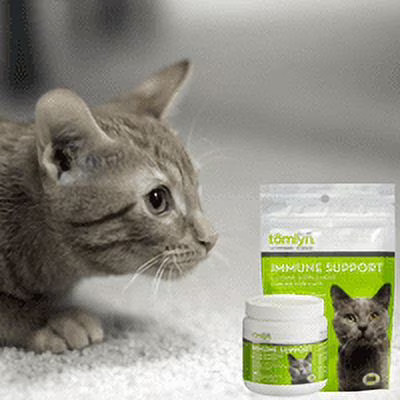 L Lysine Powder for Cats Immune Support