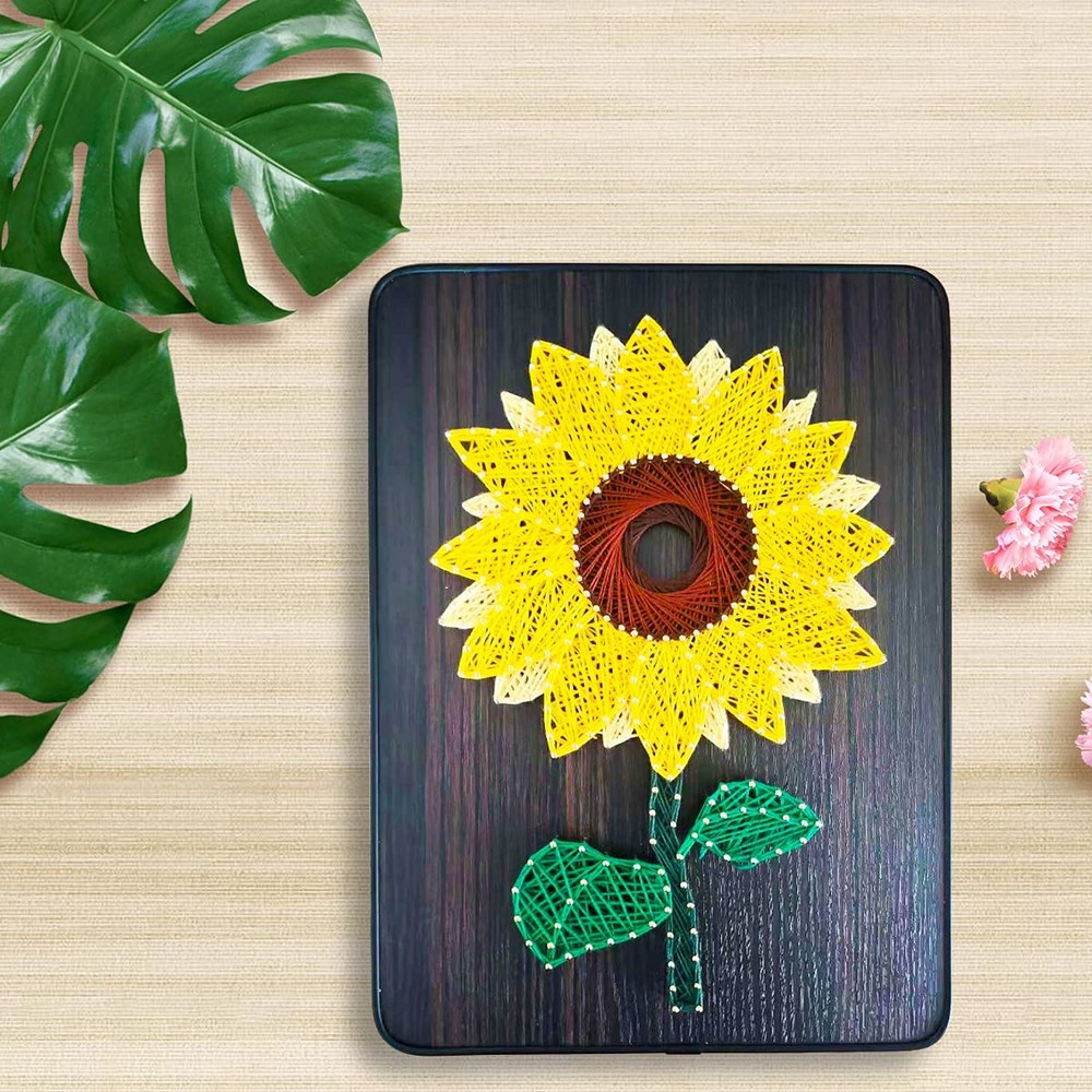 DIY String Art Kit for 9.8*13.4 inch, Multicolor