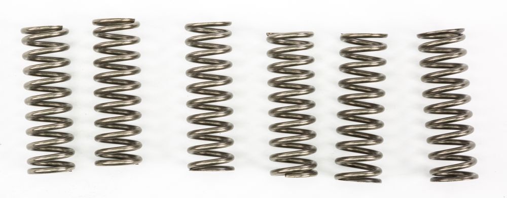 EBC Clutch Spring Kit - CSK187