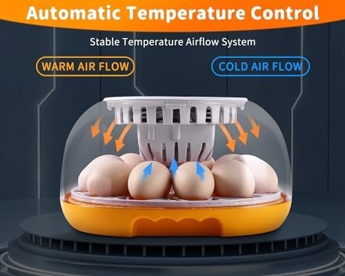 Incubators for Hatching Eggs, Egg Incubator with Automatic Egg Turning and Humid