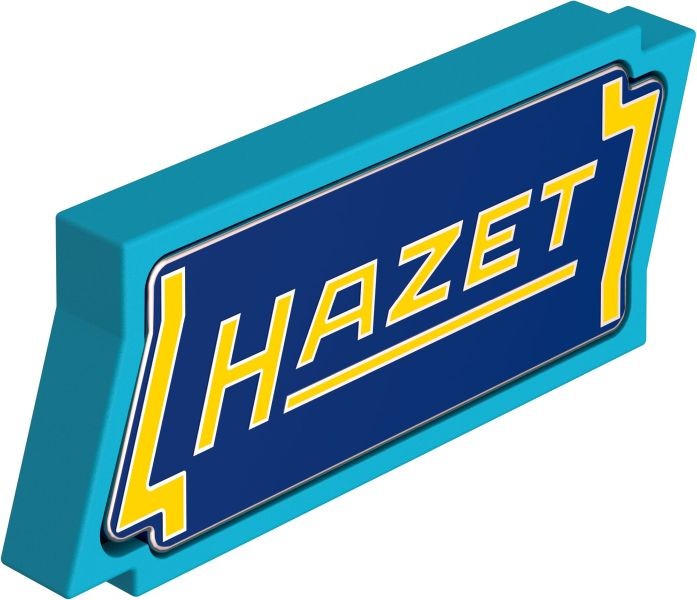Magnet