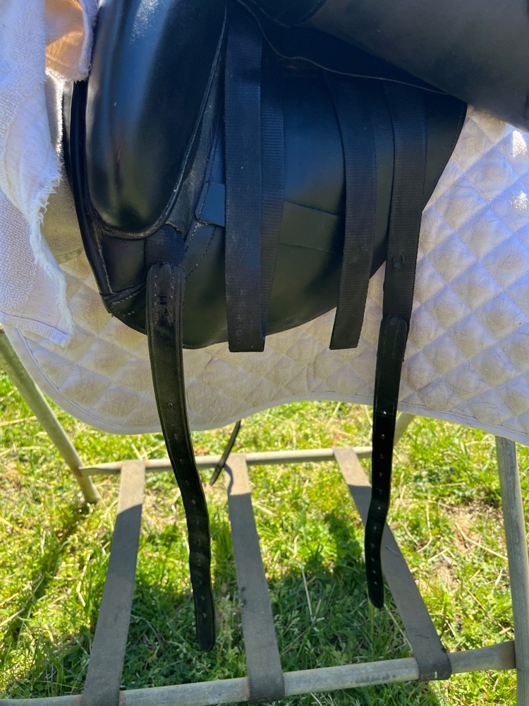 Albion Platinum 17.5 in adjustable tree
