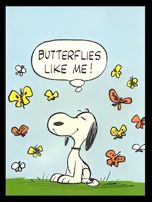 Butterflies Like Me Snoopy -MAGNET