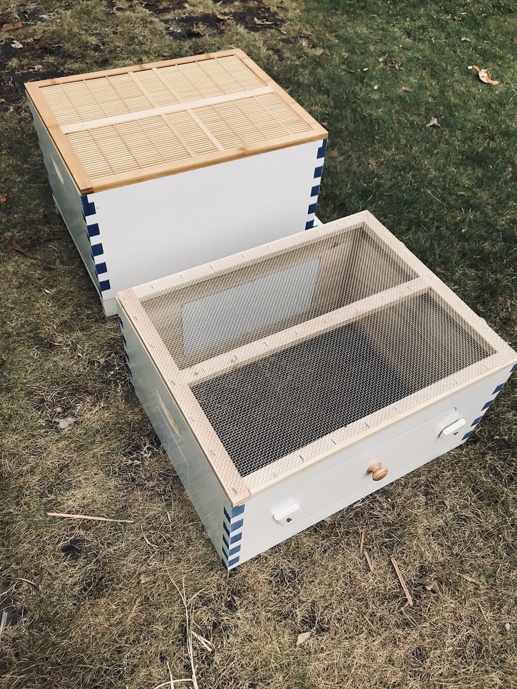 Big Auto Seep Beehive Honey Bee Hive Box Beekeeping Boxes + 7xPlastic Bee Frames