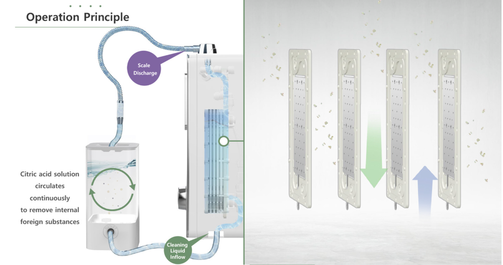 Tyent Scale Cleaner and Remover
