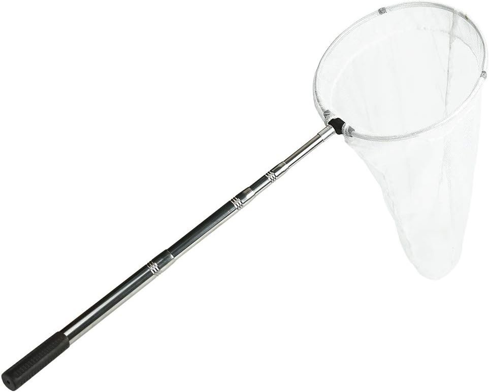 Professional Insect & Butterfly Net with Extendable Handle