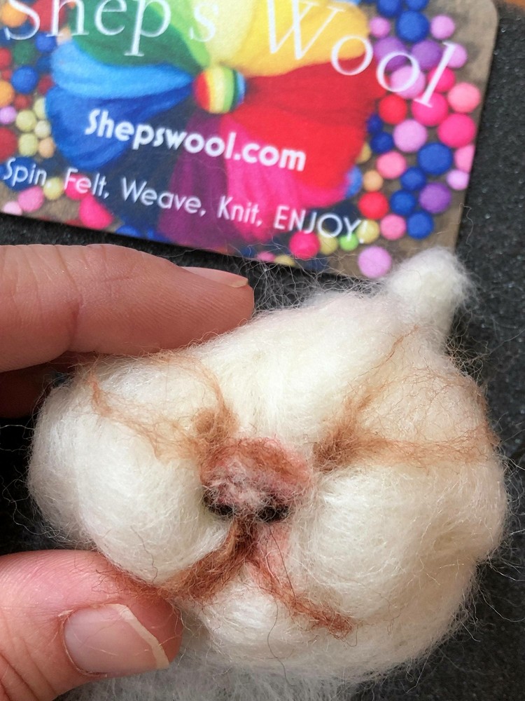 1lb Wool Roving, Soft Clean Easy Draft Wool to Spin or Felt, Core Wool