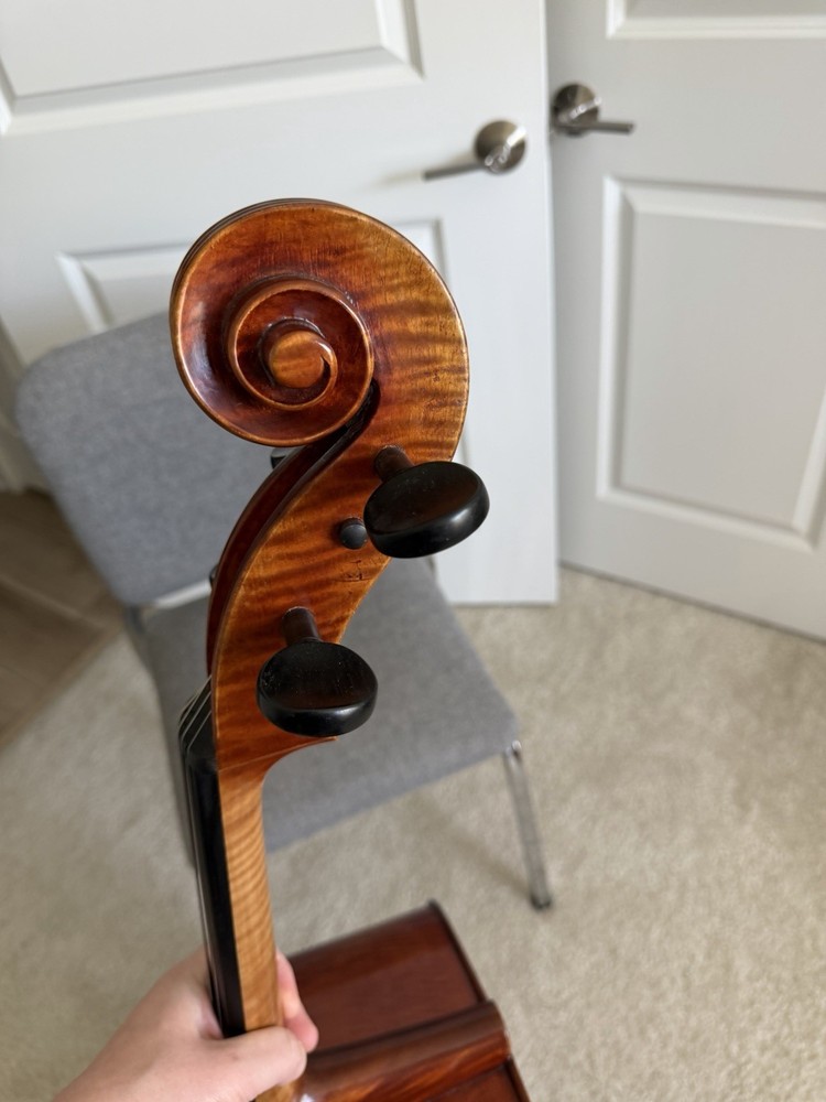 Nicolas Parola CP30E 4/4 Cello