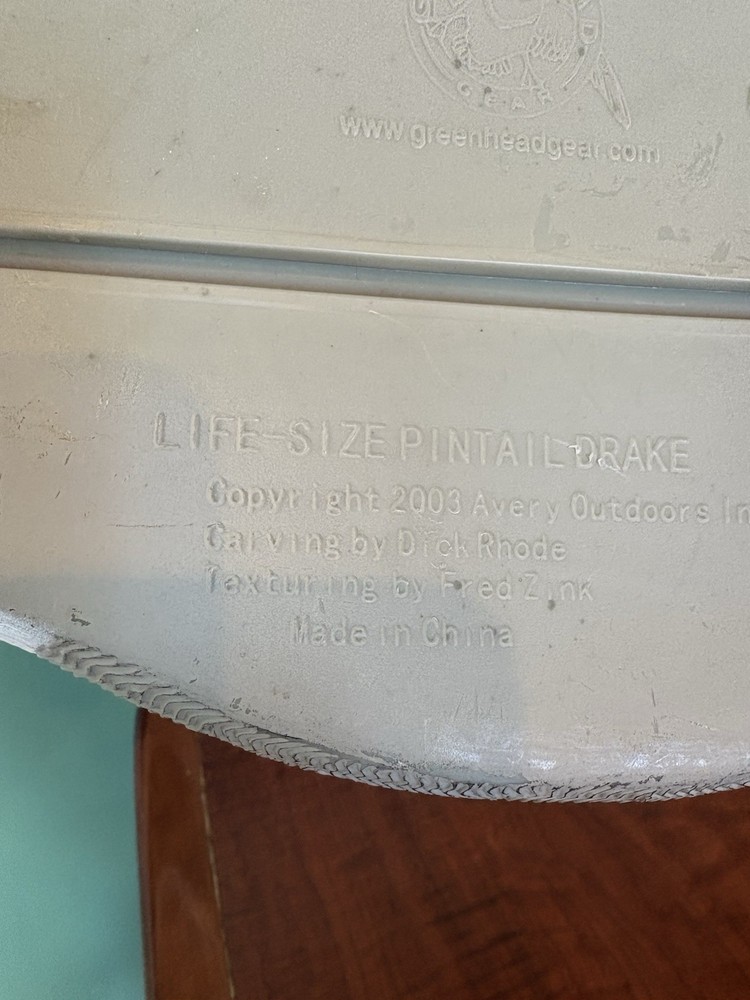 Pintail Drake Greenhead Life size