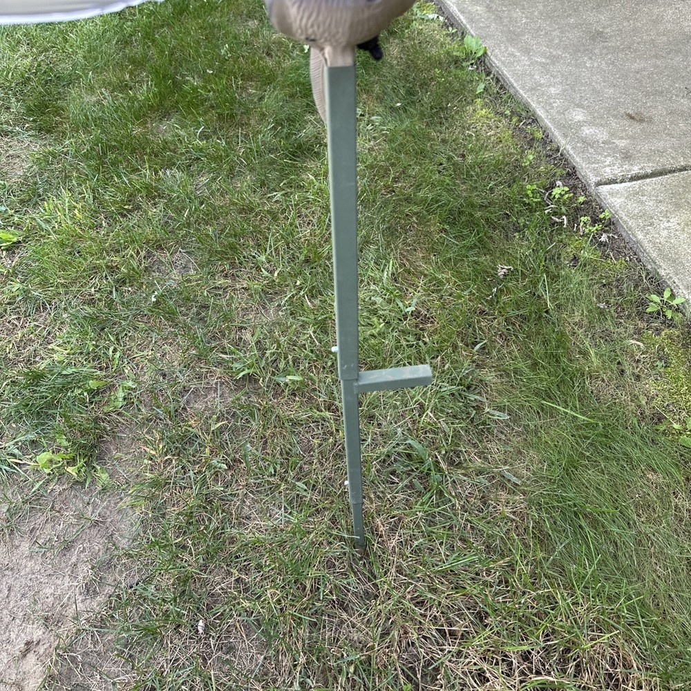 Mojo Dove HW2002 Decoy Hunting Bird