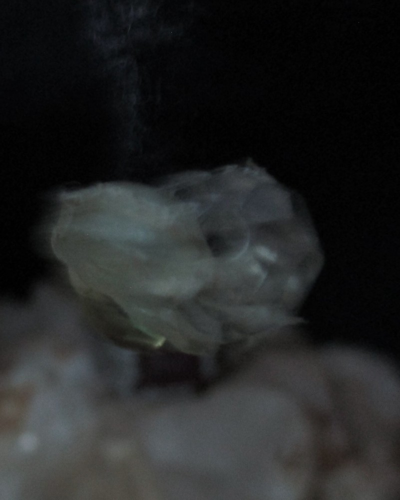 ring Talisman Powers to control elements fire earth water air spell kit magic