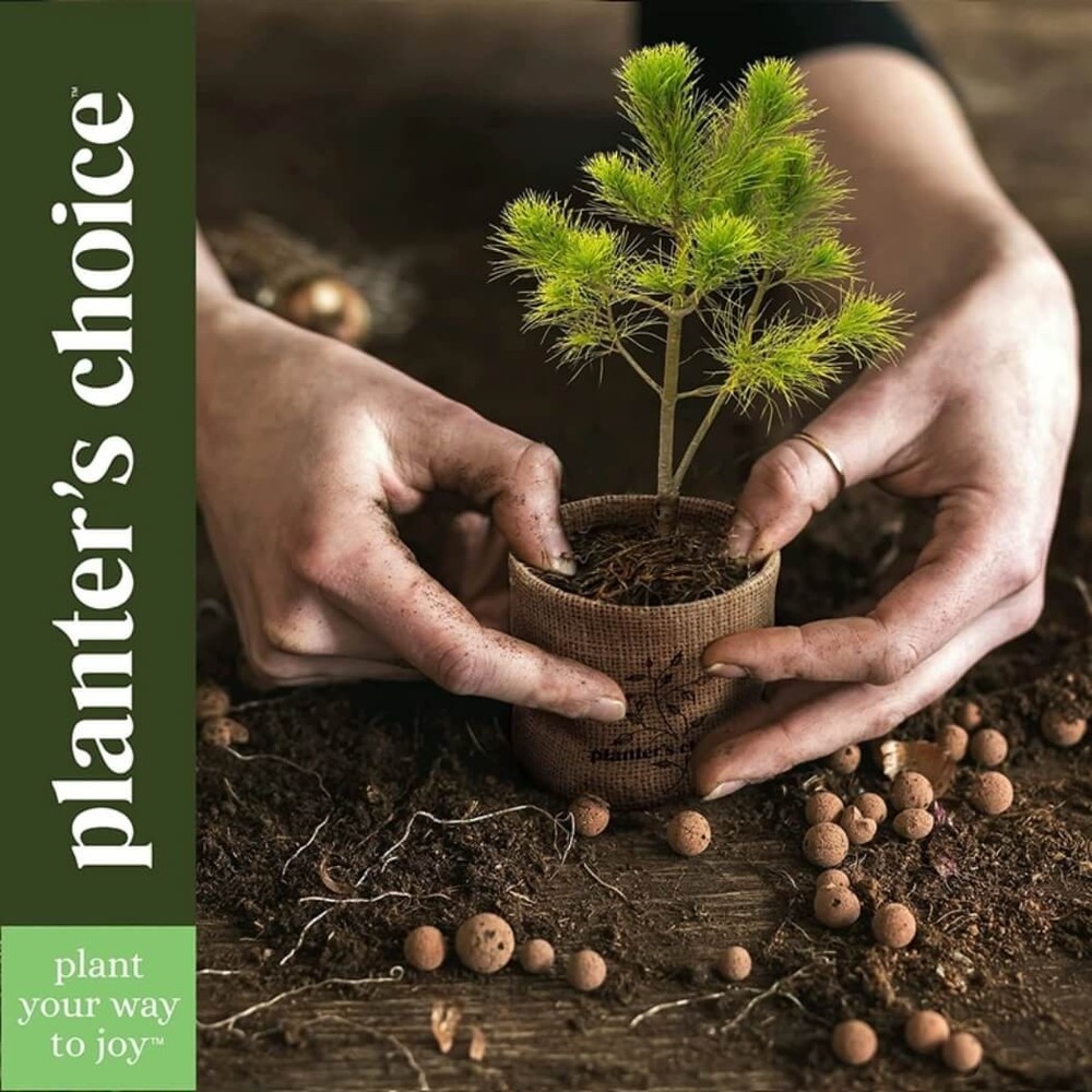 Planter's Choice Indoor Herb Growing Kit