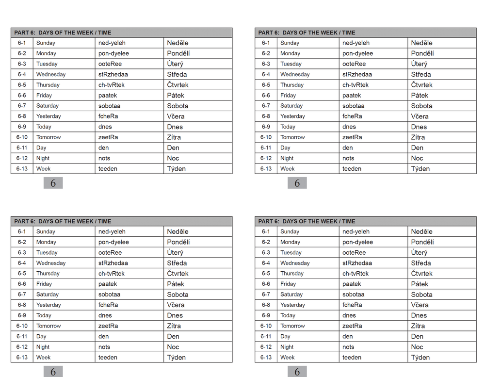 Defense Language Institute DLI BASIC CZECH Text & 600+ MP3 Audio CD