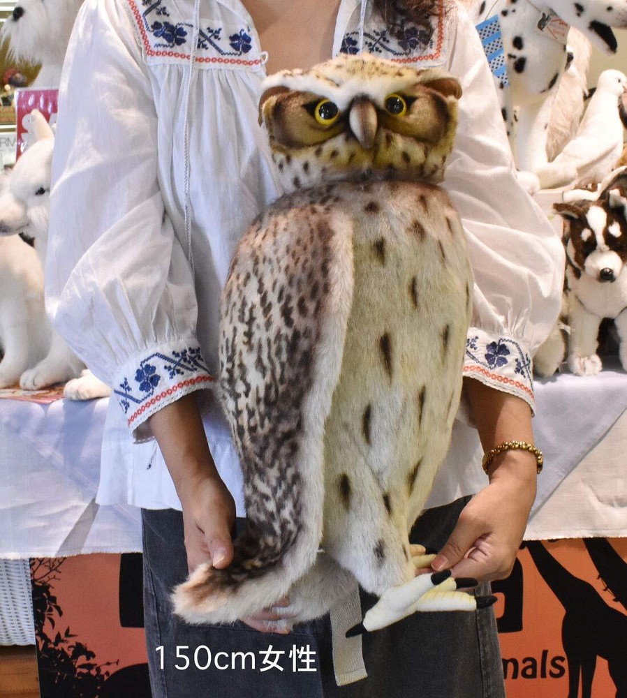 BH6776 HANSA Blakiston's Fish Owl 40