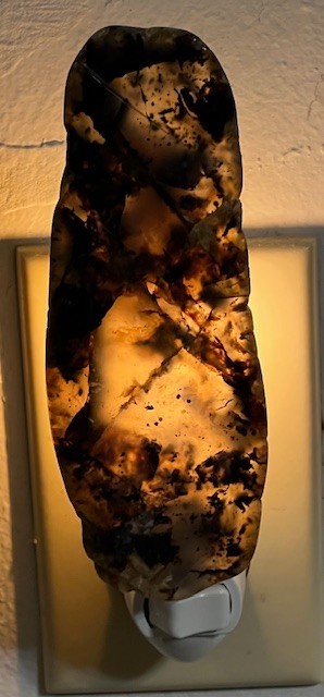 Extra Large Montana Moss Agate Night Light, Yellowstone River stone