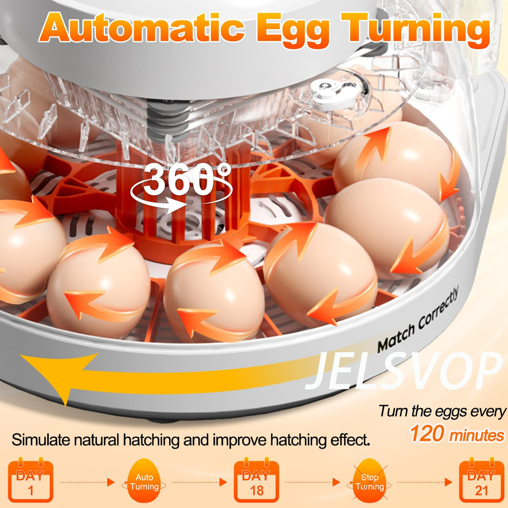 Upgraded Egg Incubator for Hatching Eggs, 12 Egg Capacity with Automatic Egg Tur
