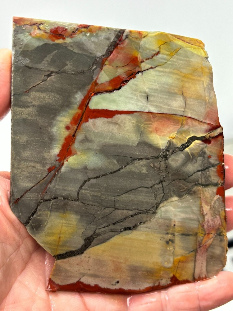 Arizona Polychrome Jasper aka Spring Jasper slab Cabbing Lapidary Combo ship avl