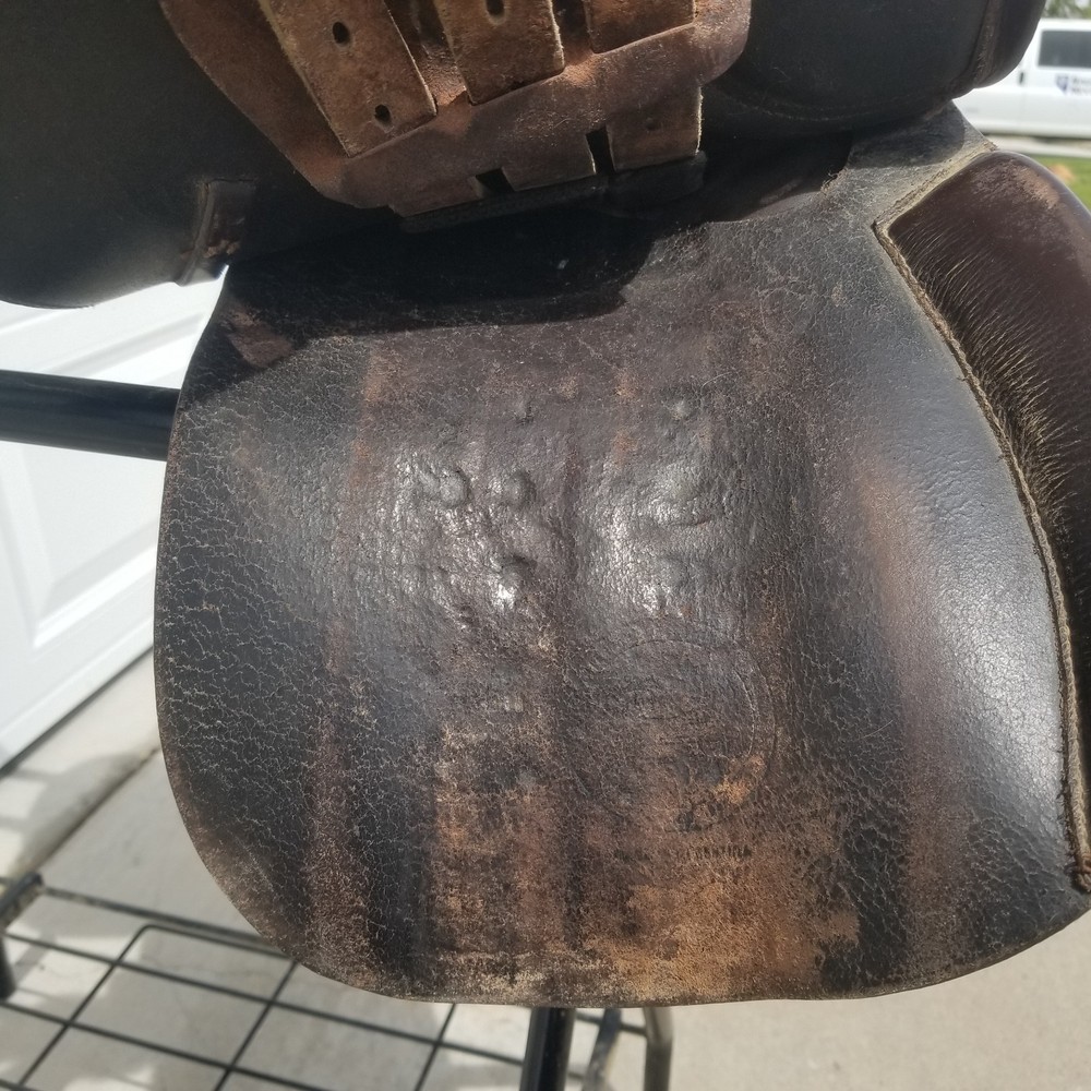 Collegiate All Purpose Saddle 16 1/2" Medium, Deep Seat