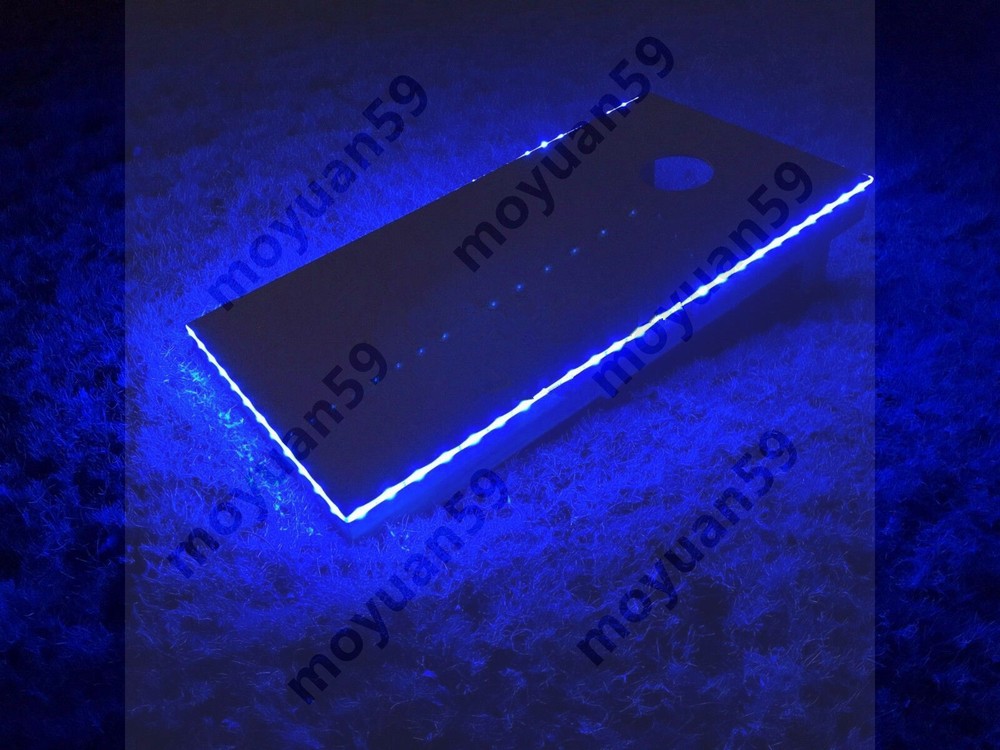 Blue Neon Glow EL Wire String Strip Decor Boat LED Light Car Party + Controller