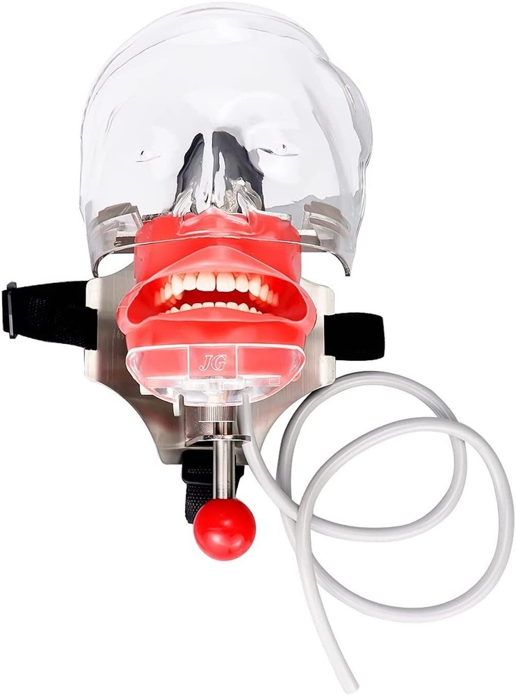 Student Dental Teaching Head Mold Oral Simulation Simple Head Mold Adjustment2pc
