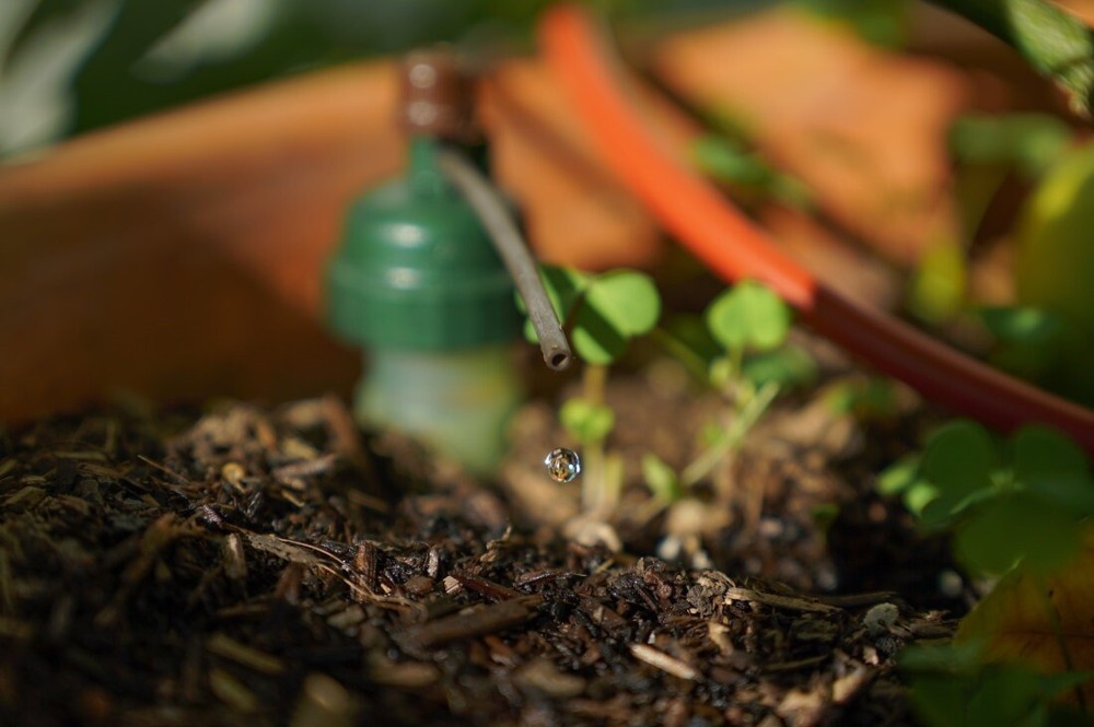 Blumat Self Watering Box Kit - Automatic Drip Irrigation System (6 Tropf Pack)