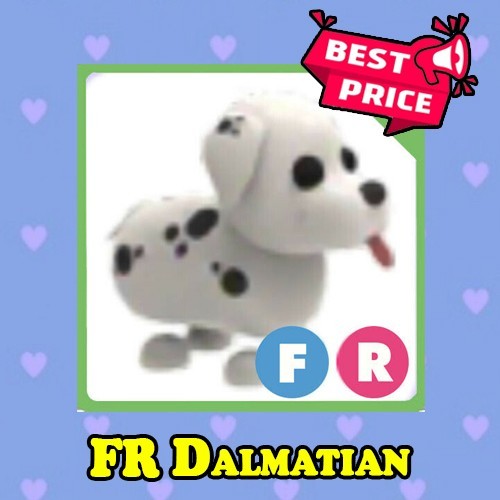 FR Dalmatian - Fly Ride | Adopt Pet | - Trusted!