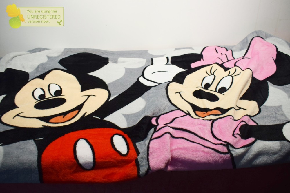 Minnie Mouse Bed Plush Blanket (marks)