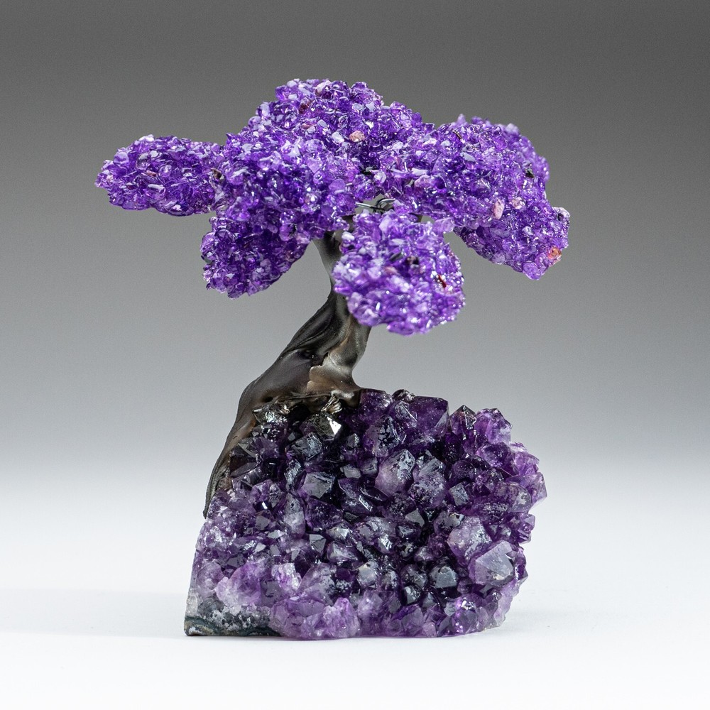 Amethyst Clustered Gemstone Tree on Amethyst Matrix (The Protection Tree) 5"