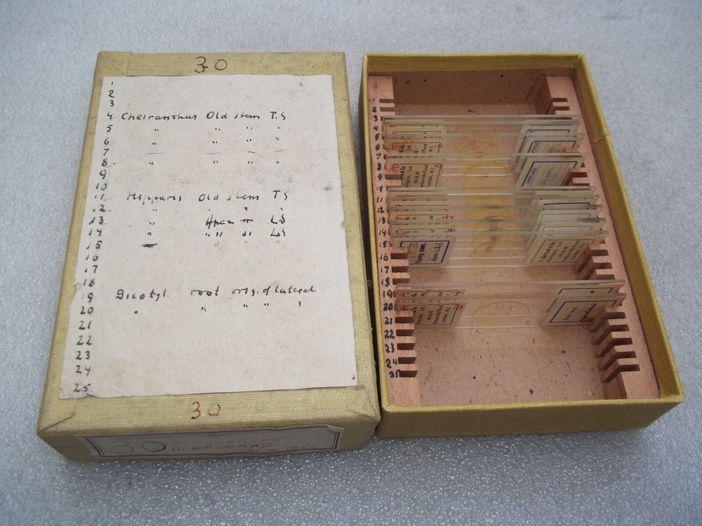 Vintage Glass Microscope Slides -