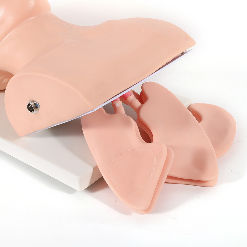 Intubation Manikin Study Teaching Simulator Airway Management Trainer Model
