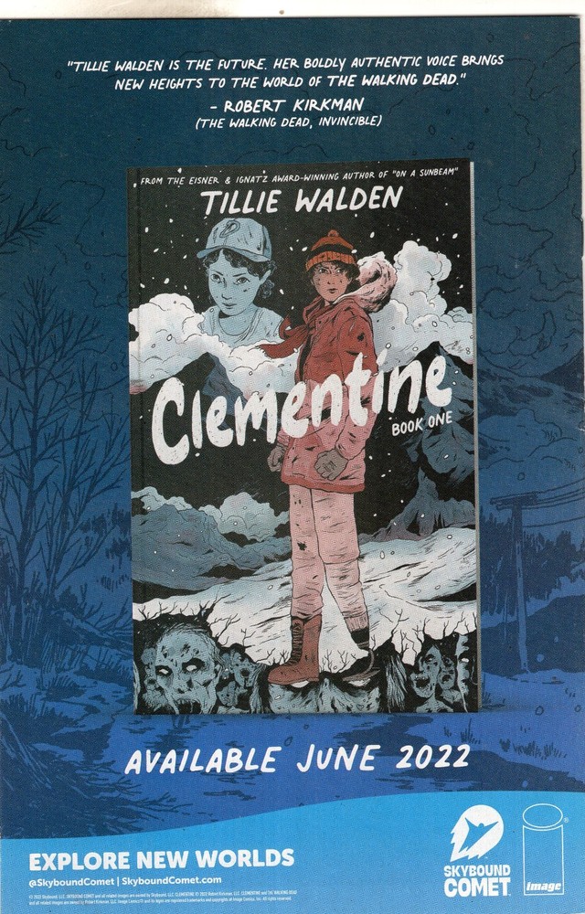 Image Comics Walking Dead Single Issues, You Pick, Finish your Run!