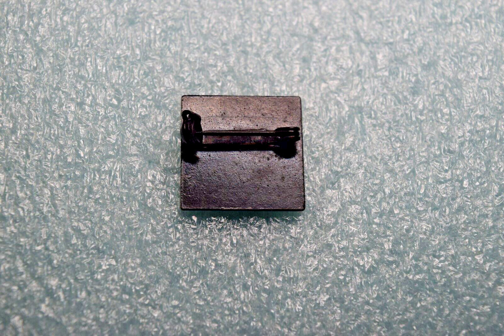 More Difficult Blue Run Ski Pin