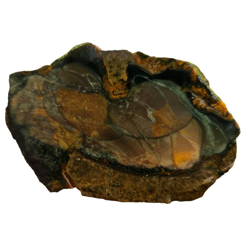 Blue Mountain Jasper Slab – Multiple Orbs Color Array – Oregon Orbicular