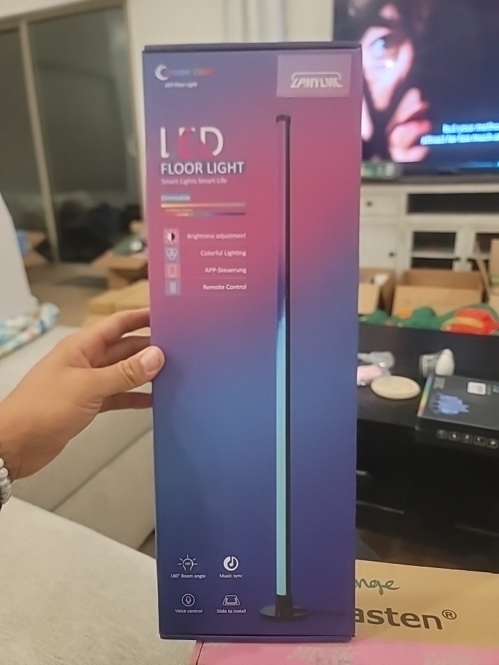 LED Floor Lamp