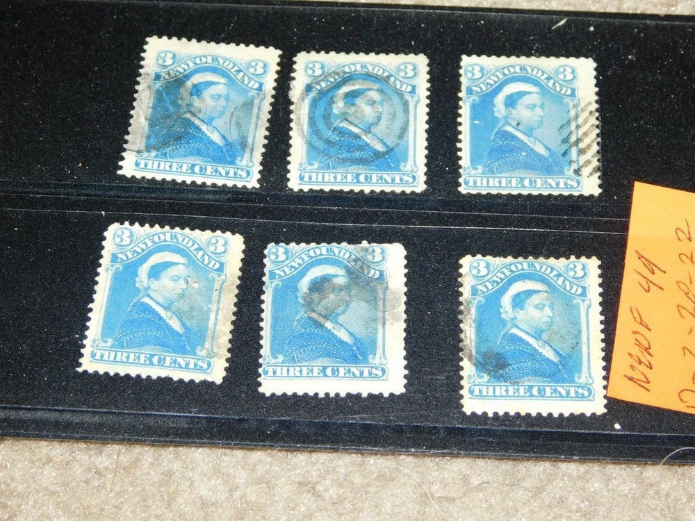 NEWFOUNDLAND, SCOTT# 49 (6) USED