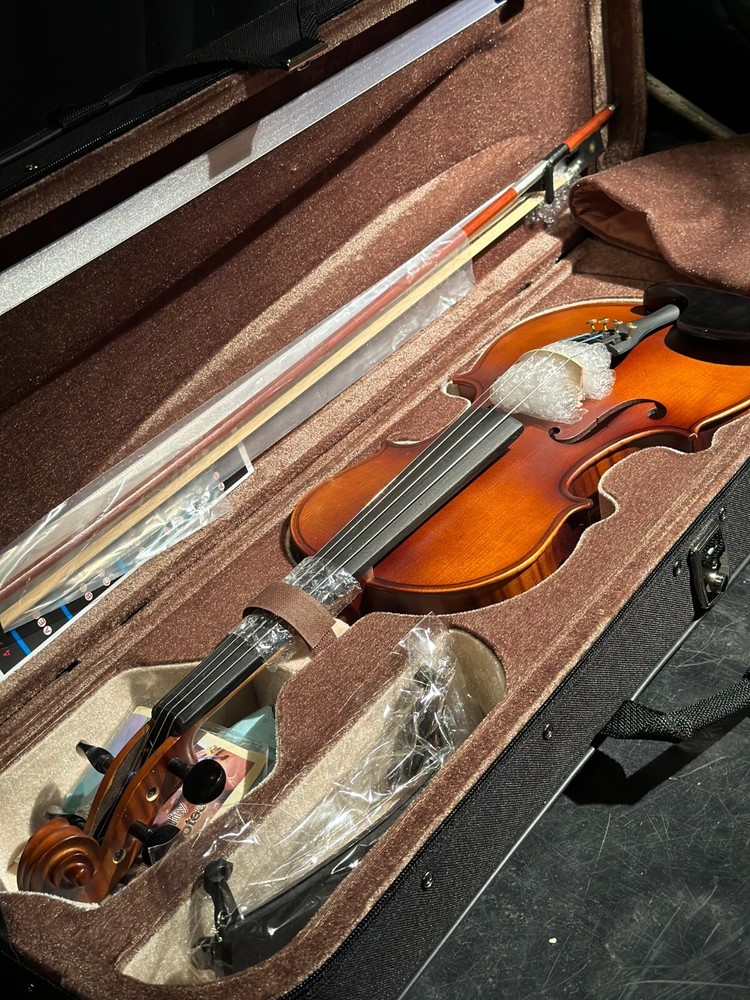 Brand New Unbranded 4/4 Violin