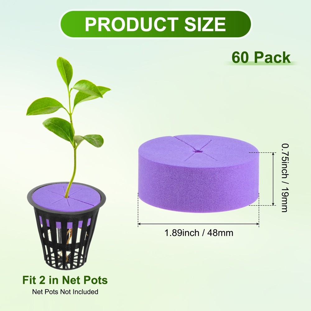 60-Pack Cloning Collars Inserts, Hydroponics Sponge Systems Cloning [Purple]