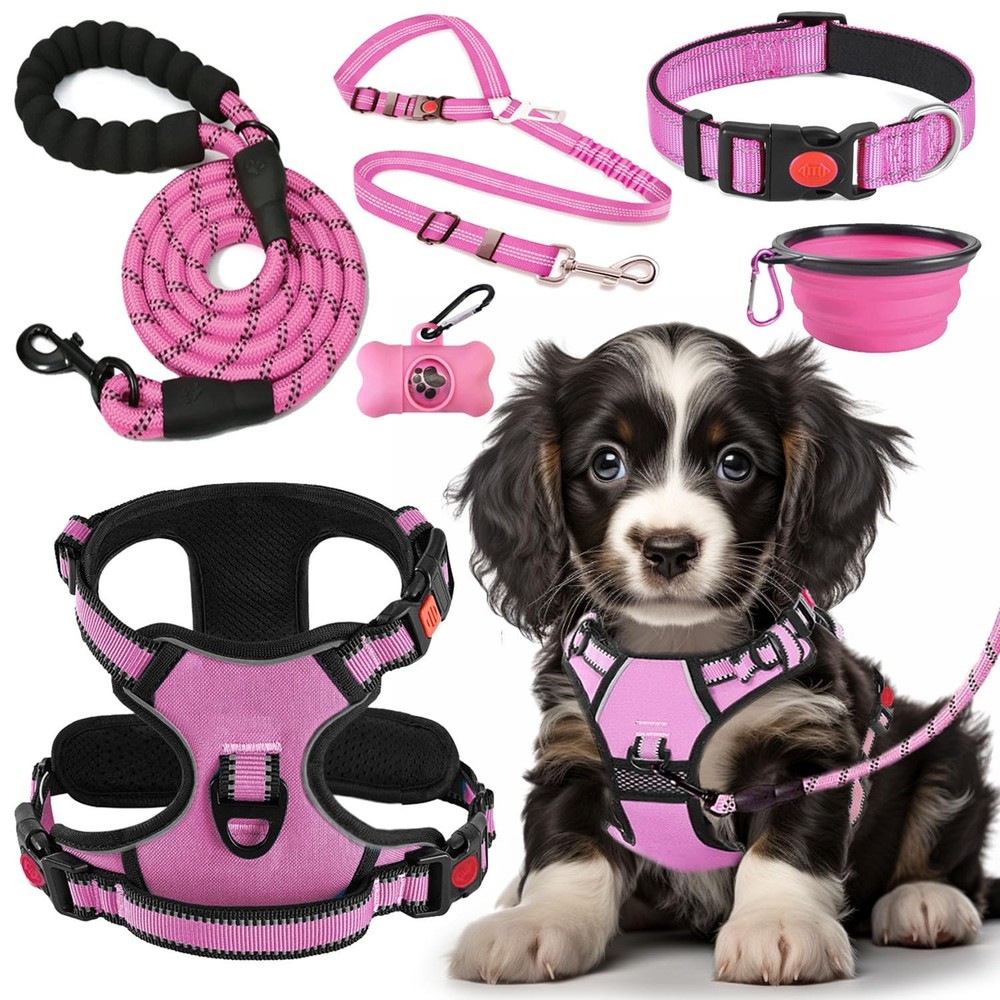 LOBEVE No Pull Dog Harness, Collar & Leash Set | Includes Small, Pink