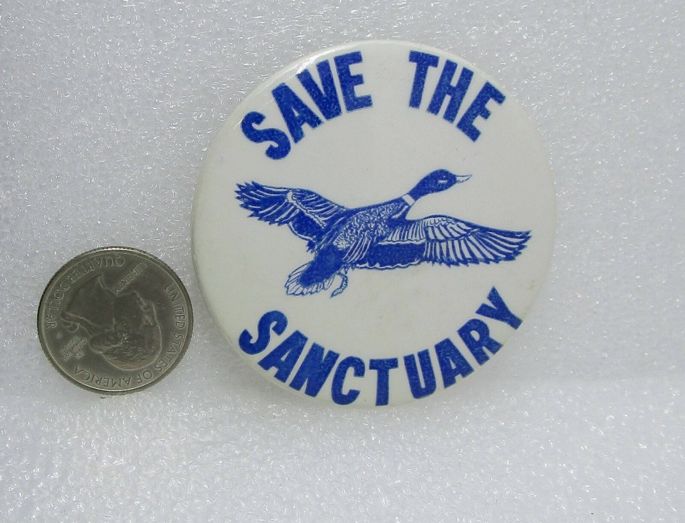 Save The Sanctuary Button Pin