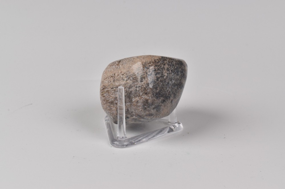 Polished Dinosaur Bone from Morocco 3.9 cm # 21589